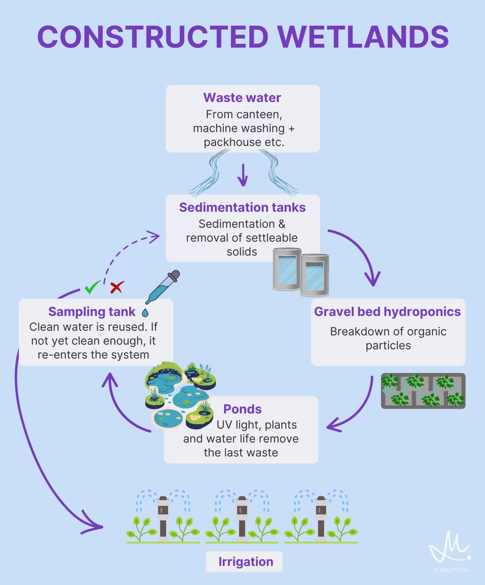How do constructed wetlands work?