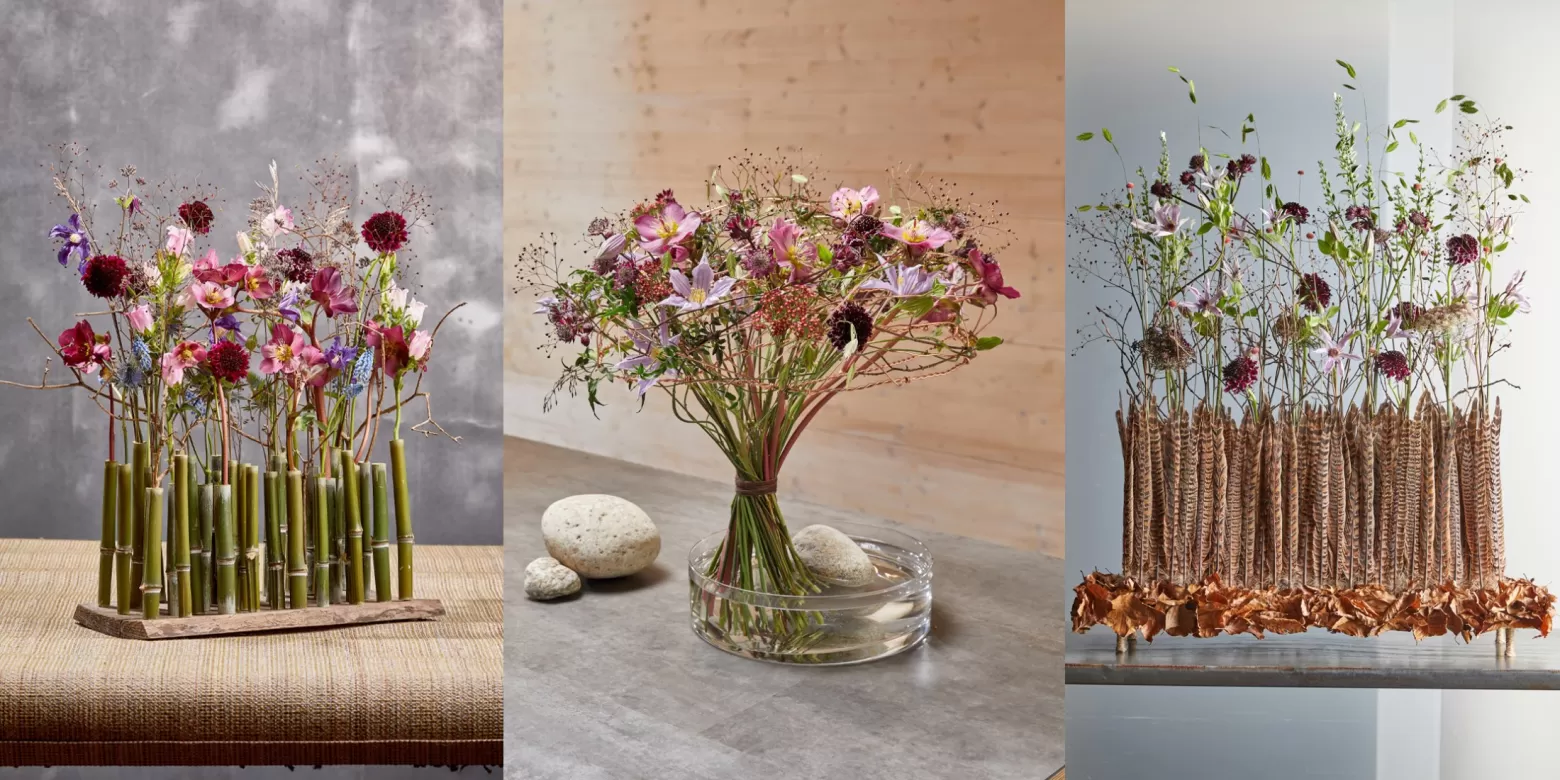 Blumendesign von Anna Günther, Svetlana Silbernagel en Hendrik Rethmeyer, met Talinum