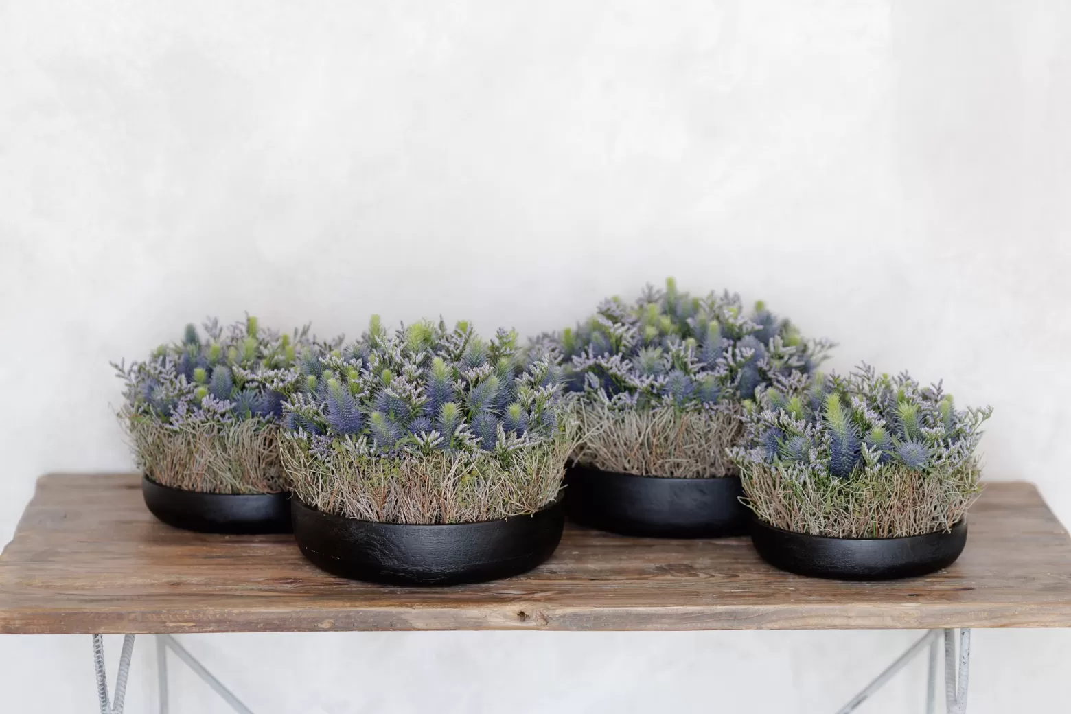 Krisztián Kövér - Eryngium in design