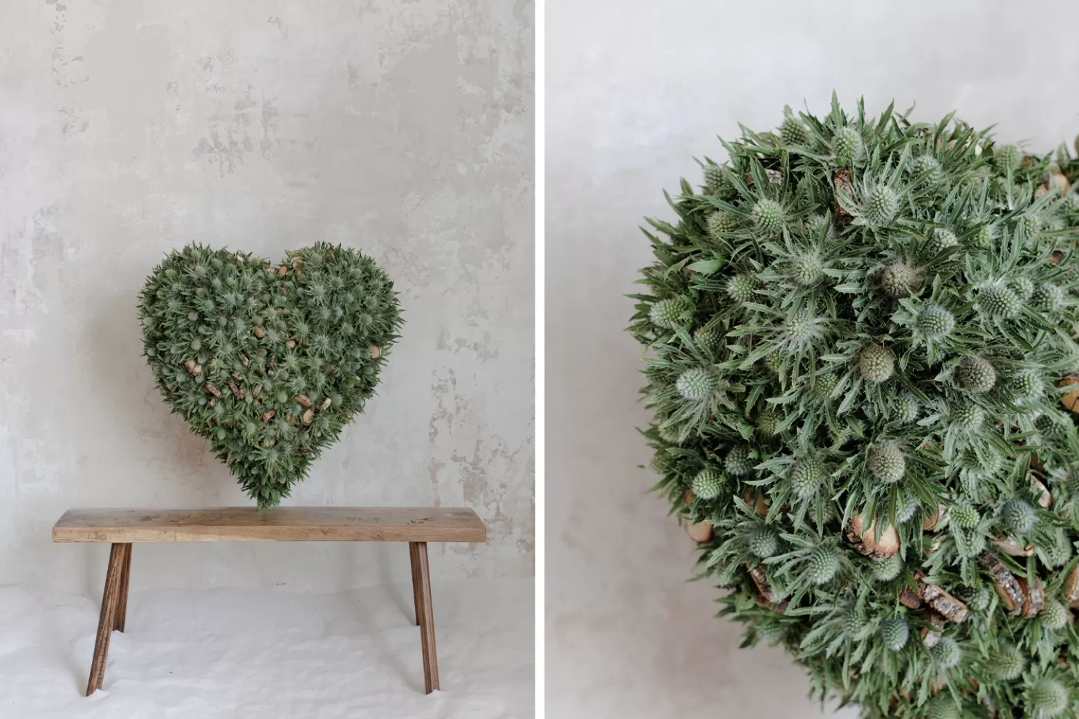 Krisztián Kövér - Eryngium in design