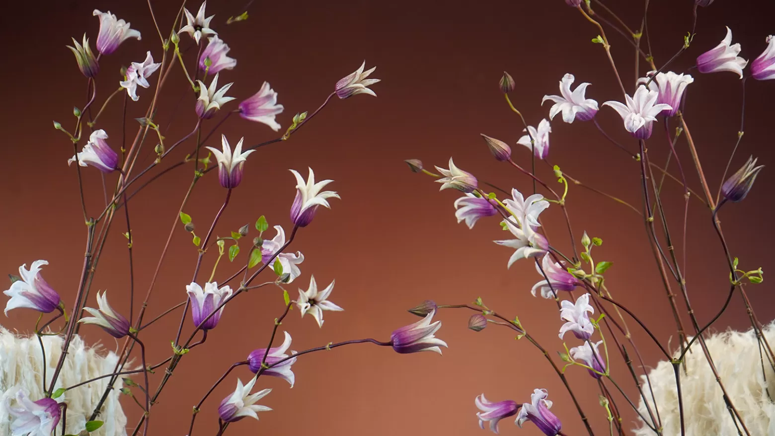 Mike Boerma - Washi paper dreams design