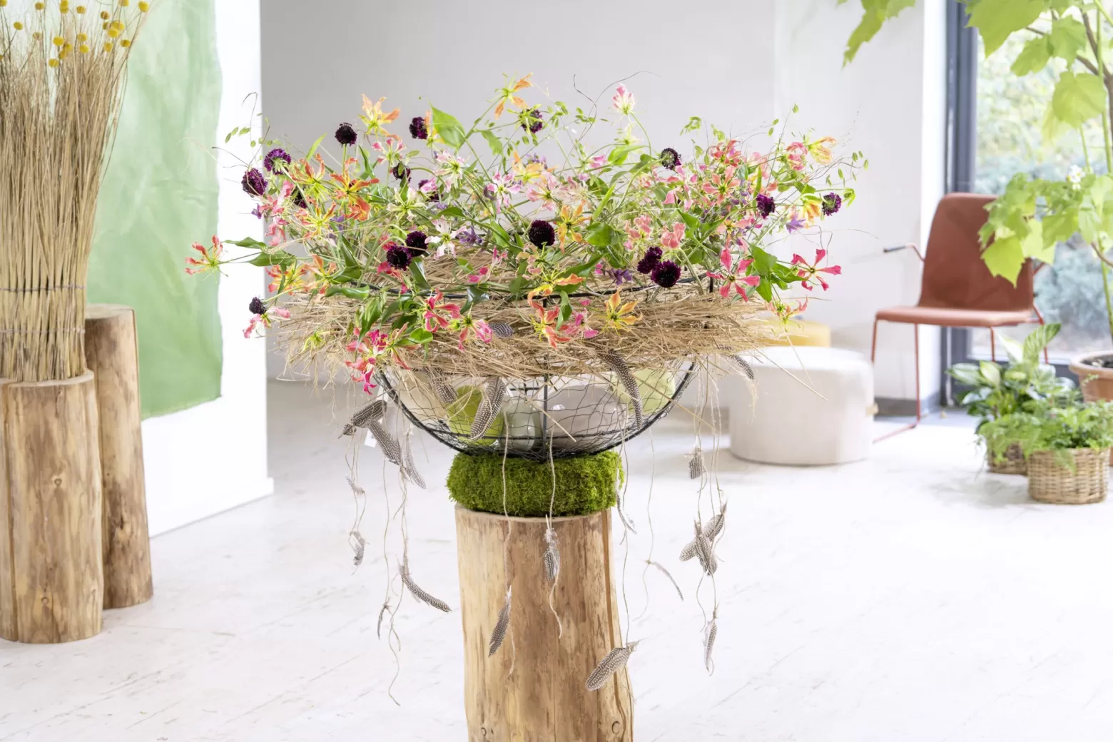 BLOOMs VIEW shoot Gloriosa superba Simba 'Fifty Shades', Chasmanthium Mantis, Salvia Pink Lagoon, Scabiosa Red Velvet Scoop®