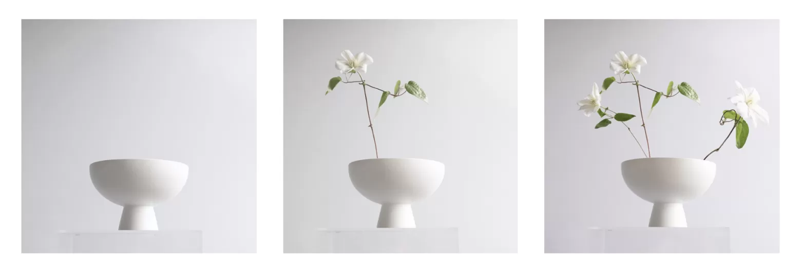 Joseph Massie Clematis Amazing Vienna DIY