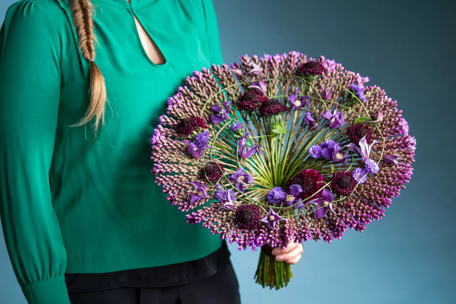 Kraftvolles Lila - Clematis Amazing® Rome, Scabiosa Sweet Cherry Scoop® und Aster Dark Milka.