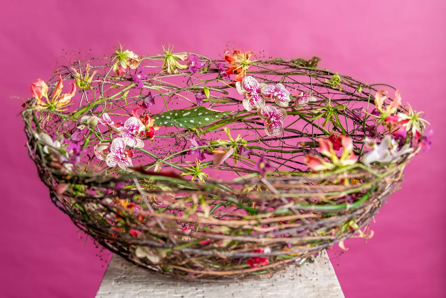 Blumennest mit Gloriosa