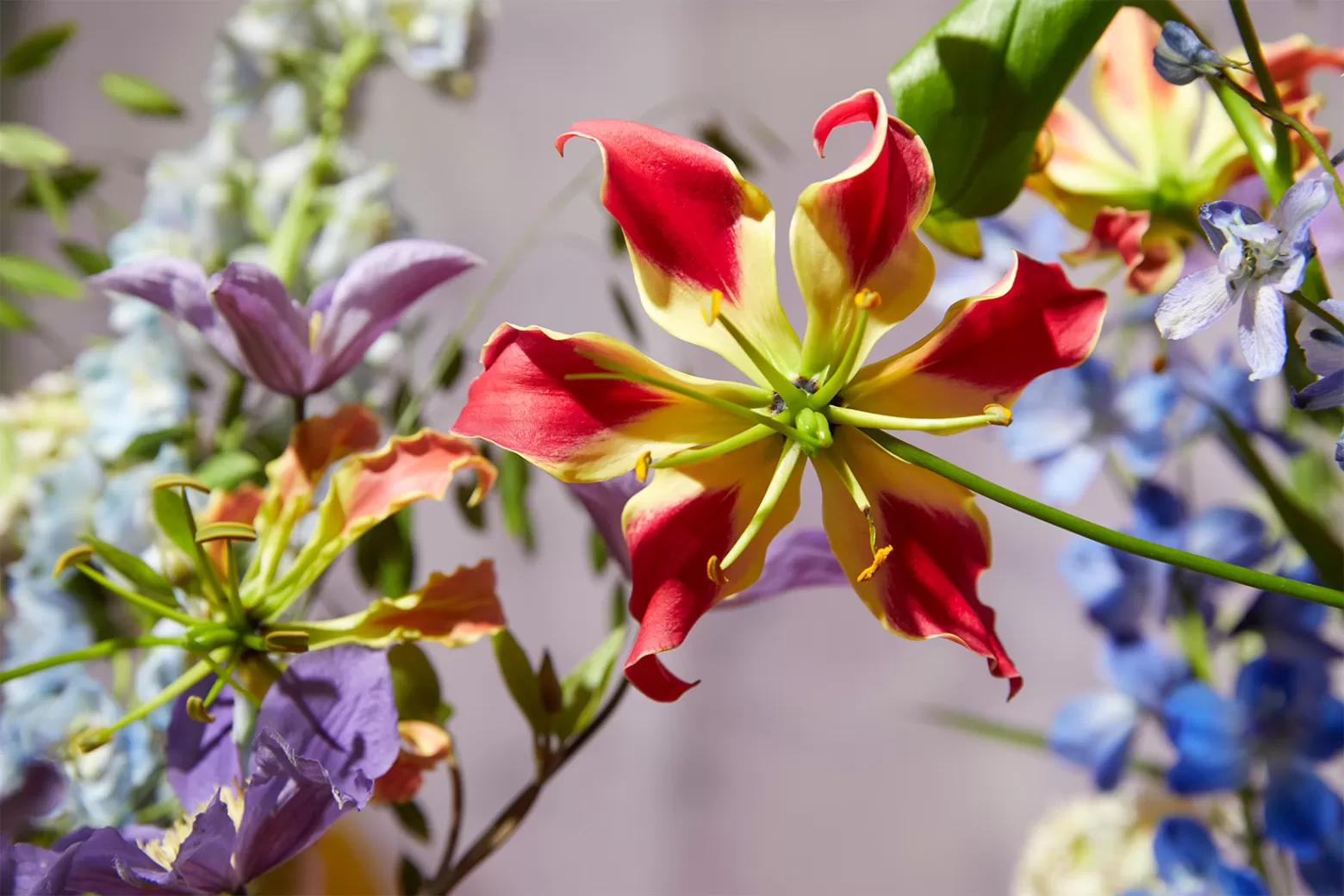 BLOOM's 媒体 - 焕然一新 & 积极向上 - 嘉蓝