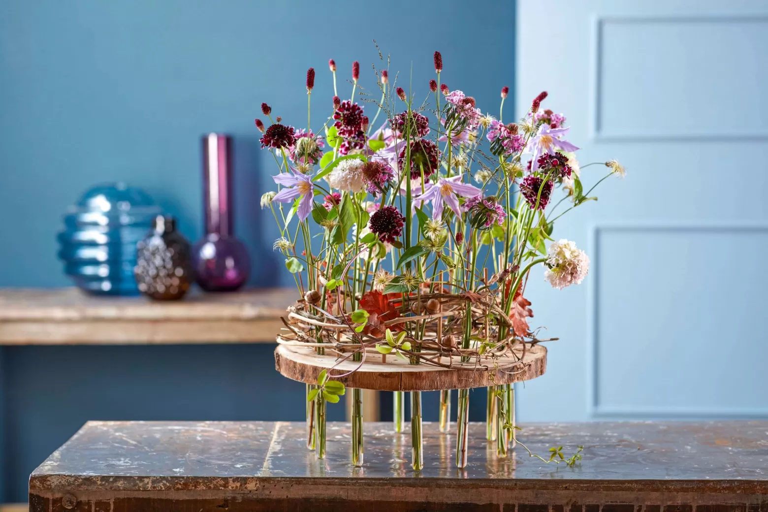 Scabiosa design