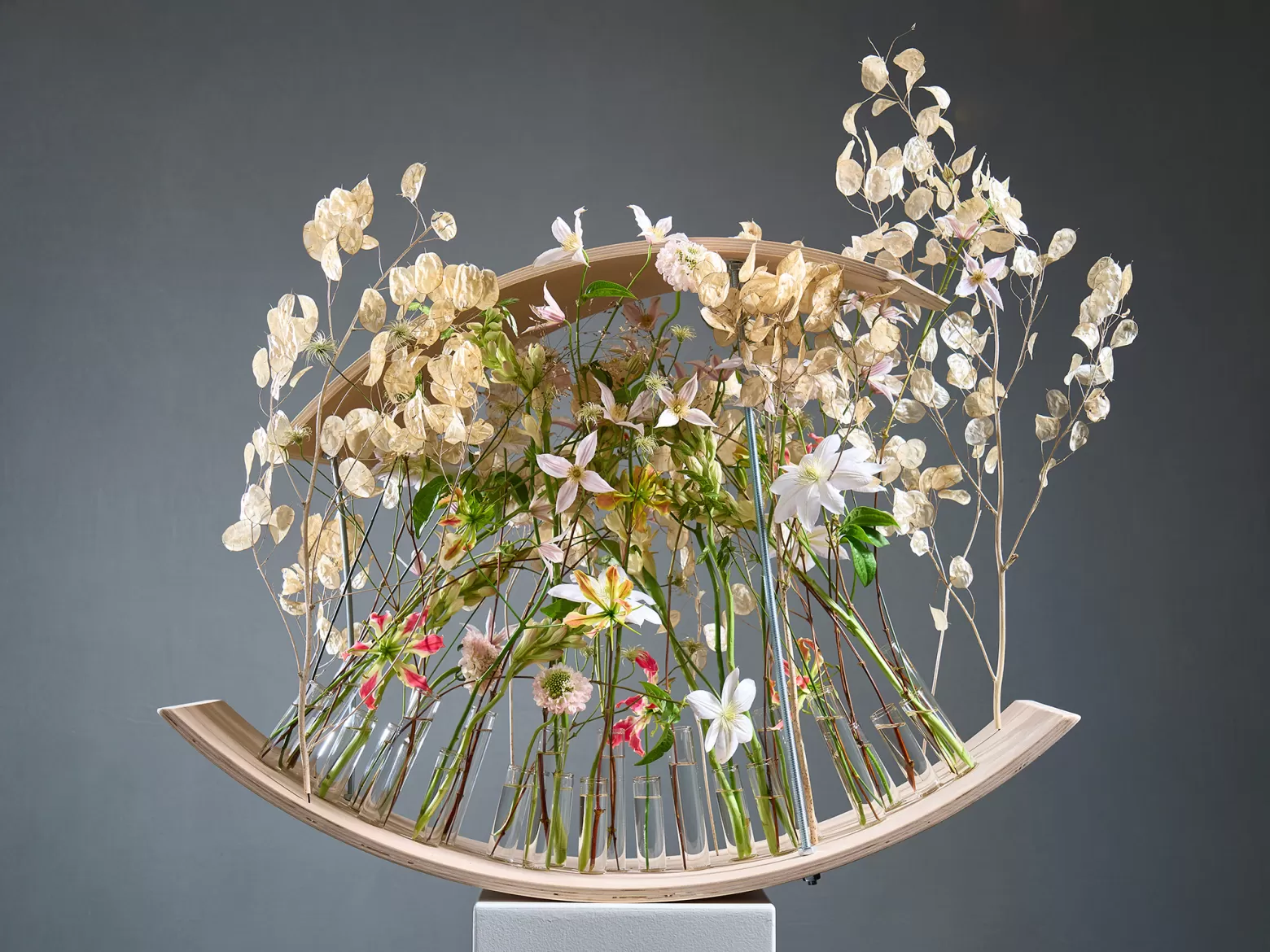 Elisabeth Schoenemann - Arreglo de Viena