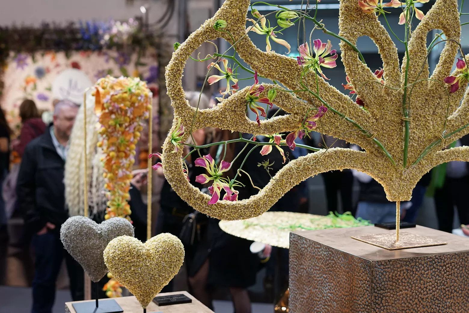 Hanneke Frankema - Diseño con craspedias