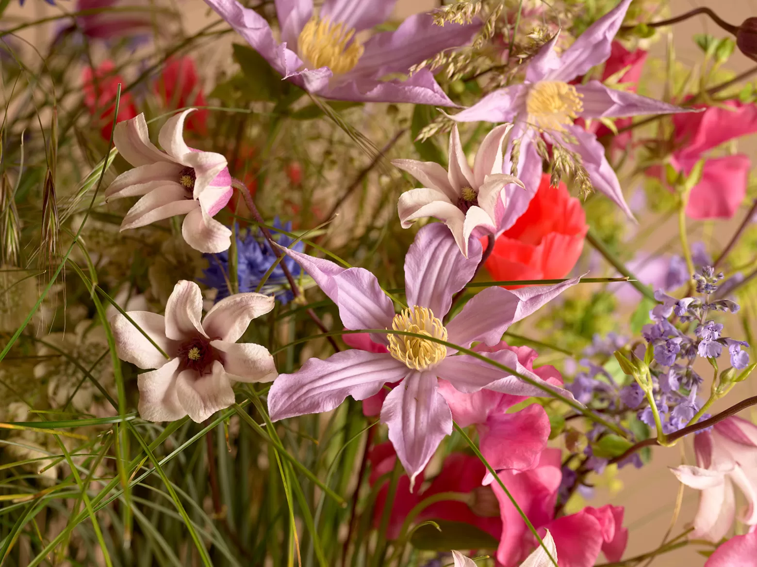 Max van de Sluis - Per Benjamin - Clematis design