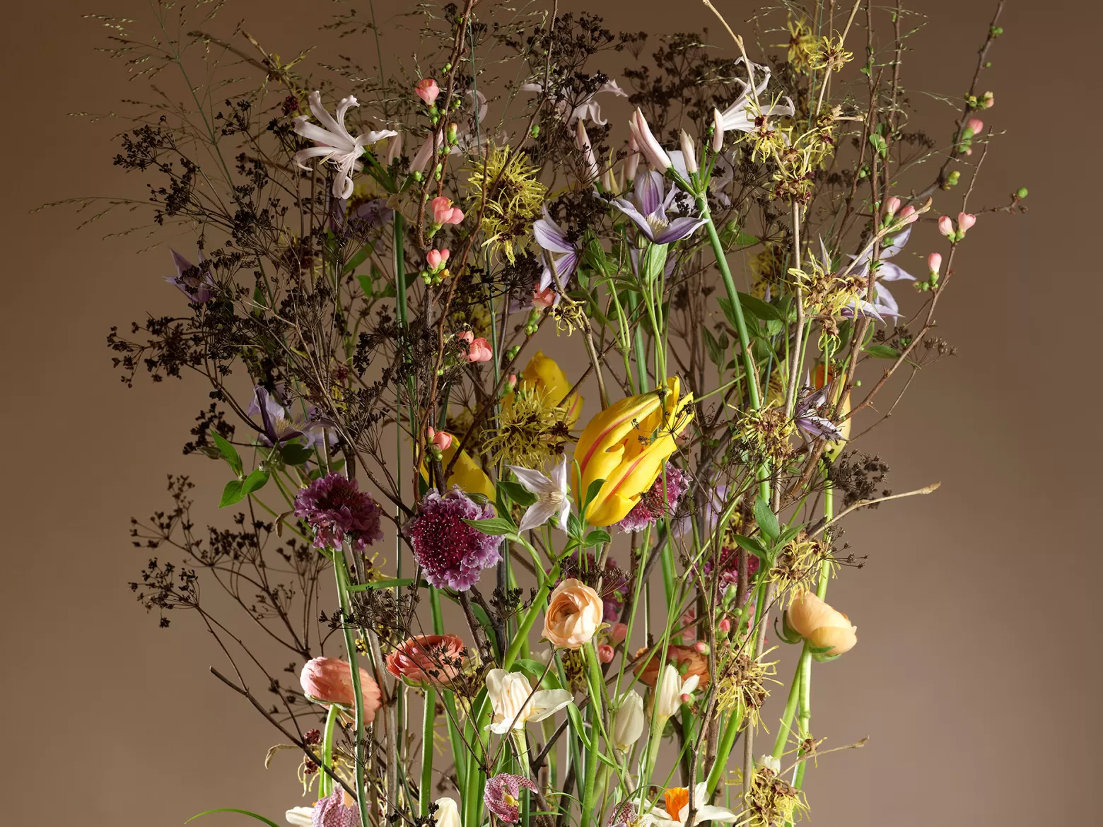 Max van de Sluis - Clematis design - detail