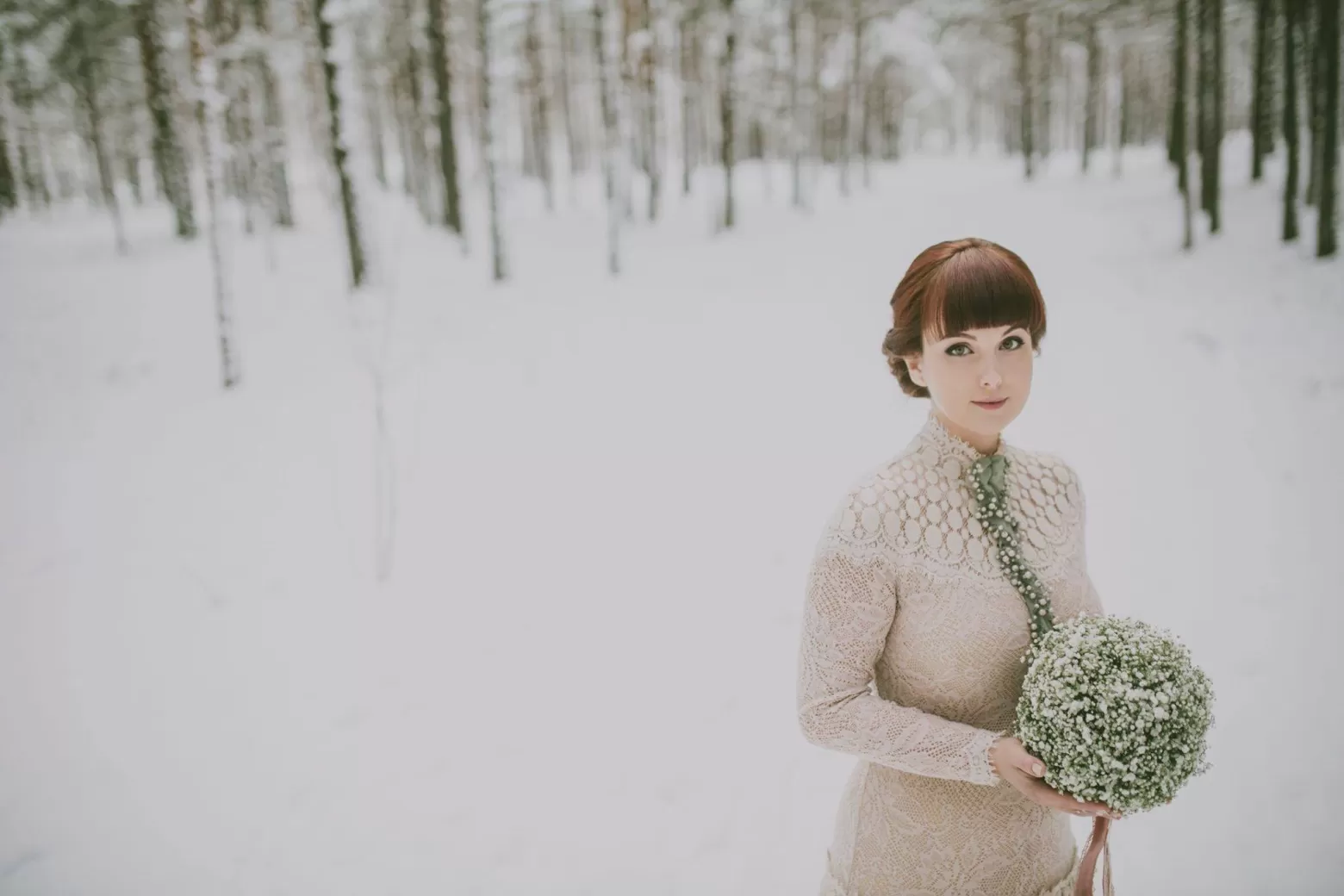 Gypsophila in the snow