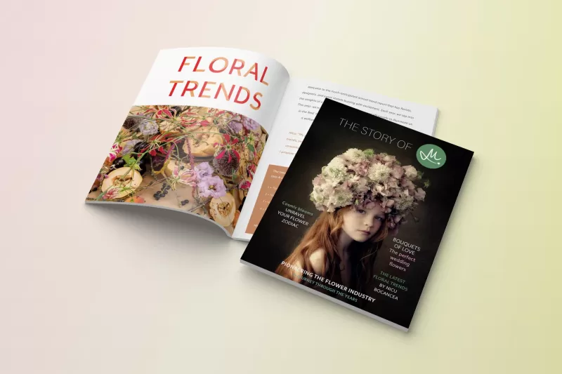 magazine