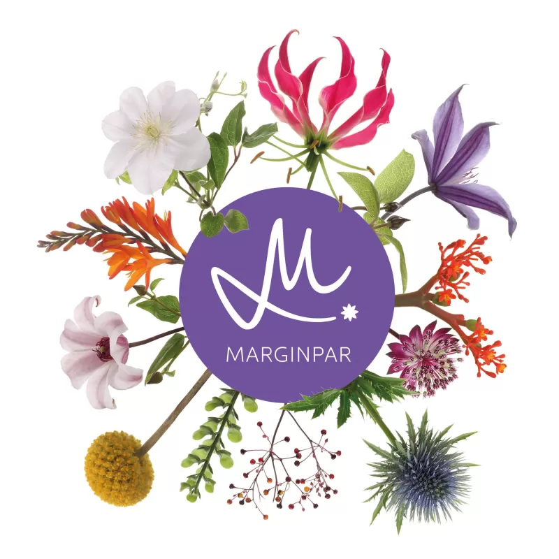 Magrinpar logo