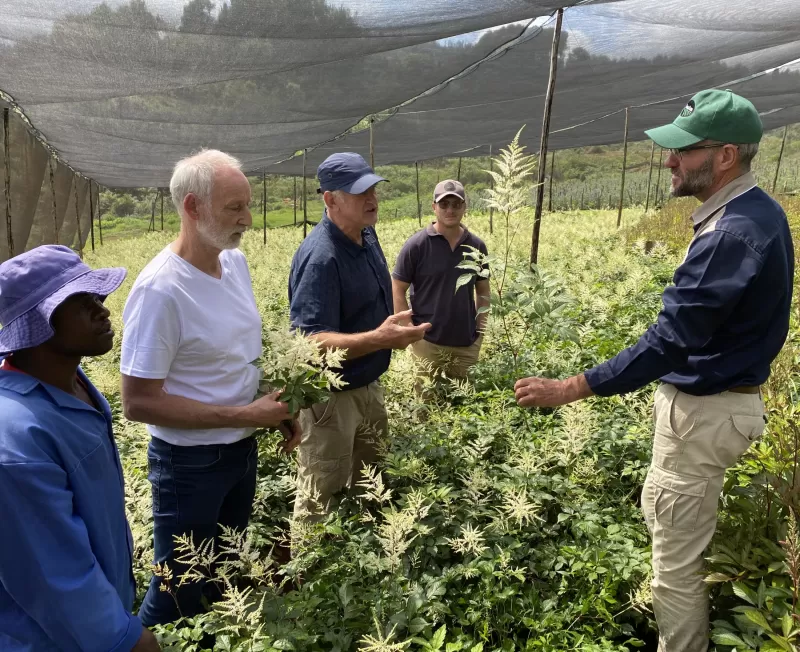 Astilbe veredelaars Wim en Gerard van Veen op de kwekerij in Zimbabwe