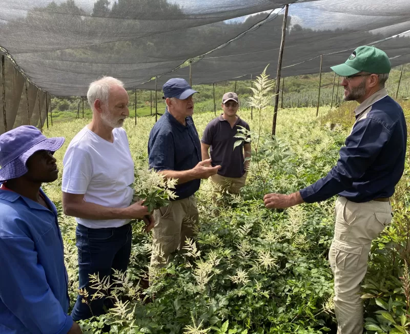 Astilbe breeders Wim and Gerard van Veen at the flower farm in Zimbabwe