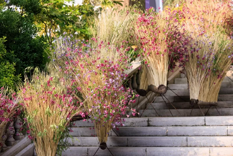 Chelsea Flower show - clematis stairs