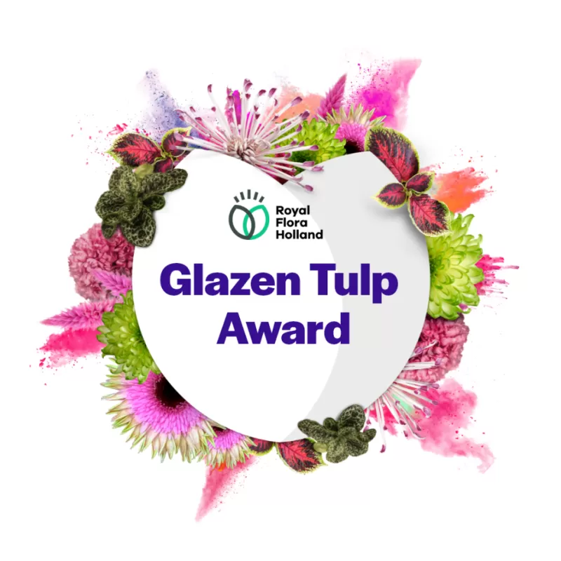 Glazen TULP AWARD
