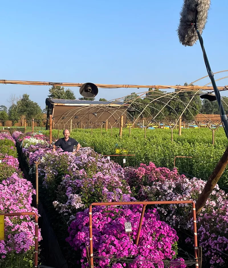 Ask Marginpar - Colin in a field of Phlox
