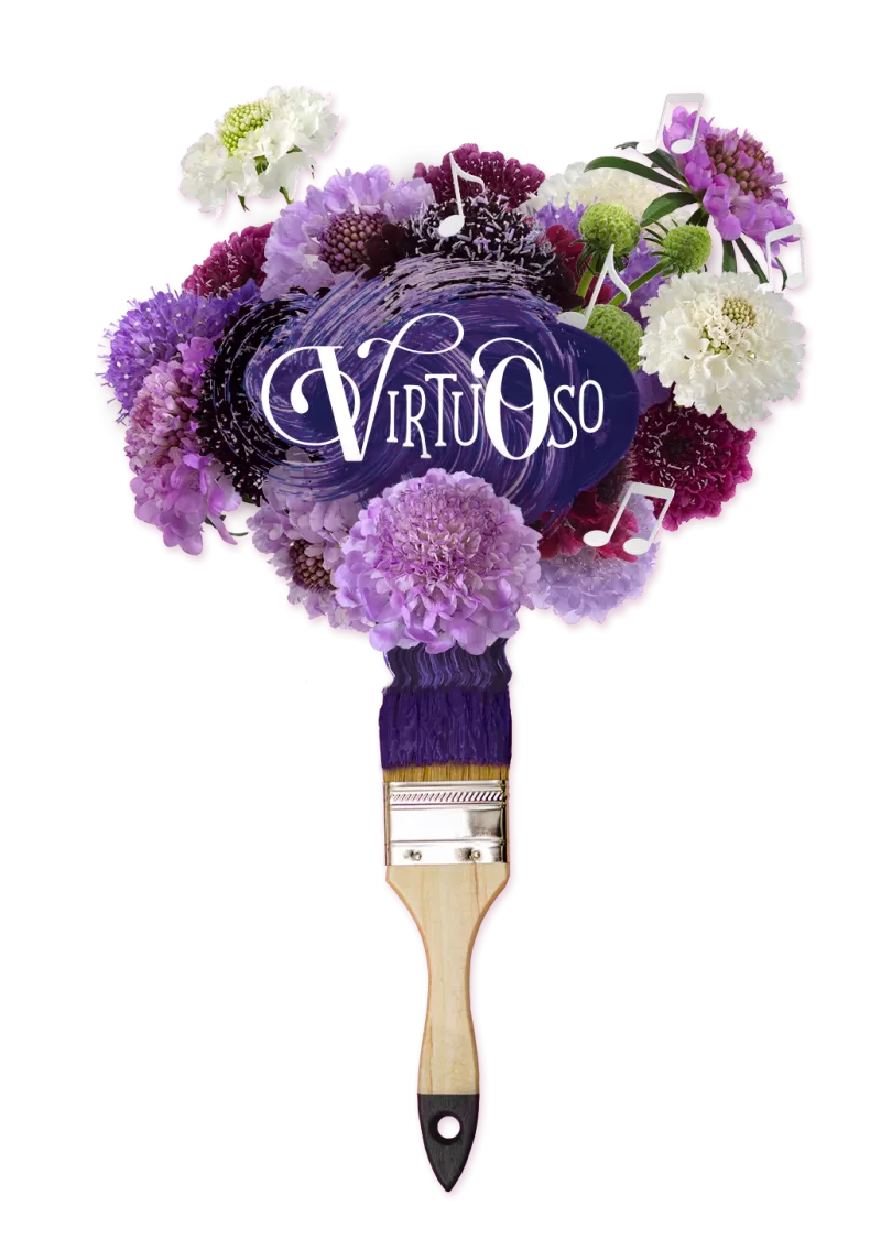 Scabiosa Virtuoso® Saura