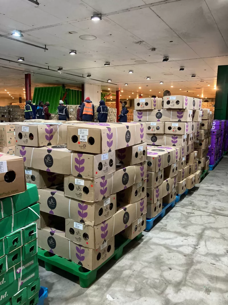 Flower boxes at the airport