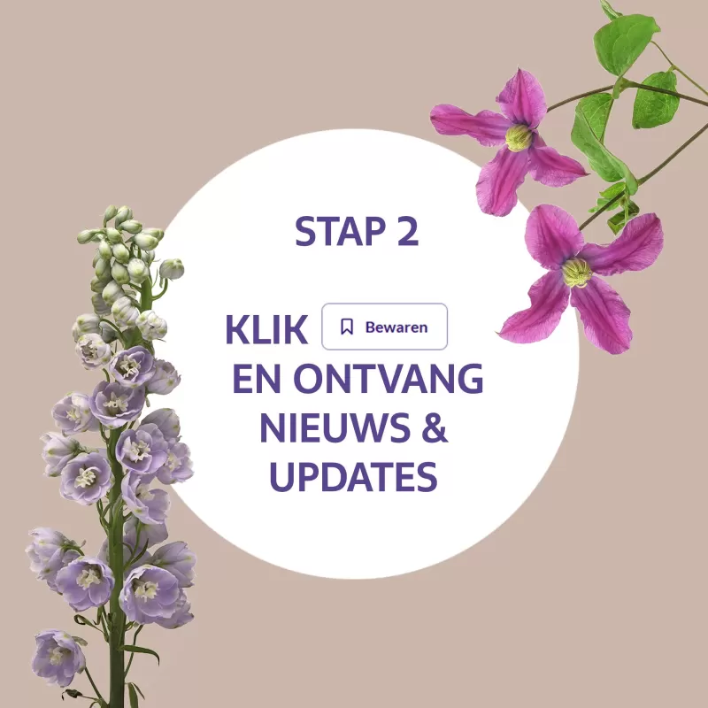 Marginpar op Floriday stap 2