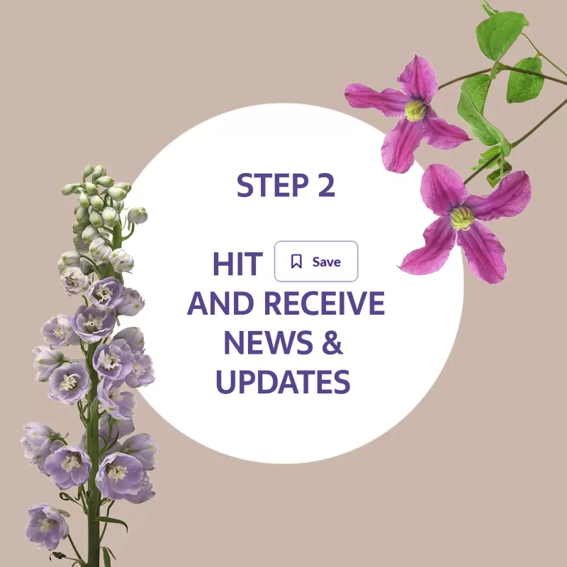 Marginpar on Floriday step 2