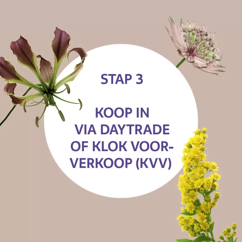 Marginpar op Floriday stap 3