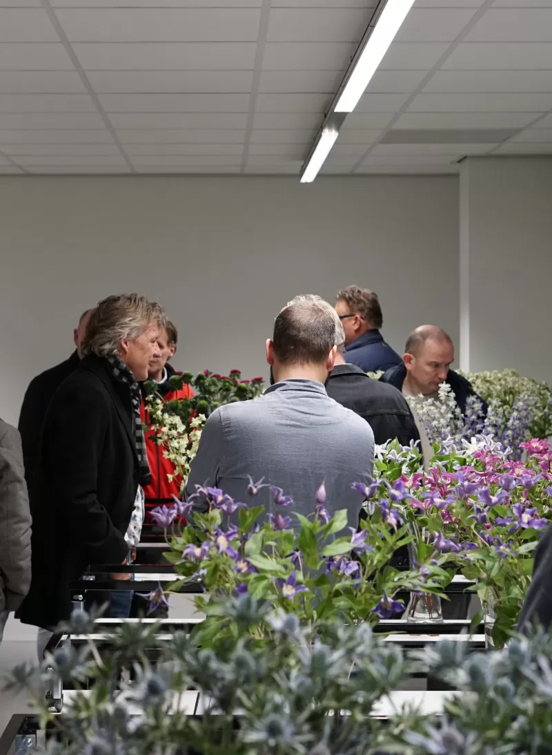 Taking a look in the flower lab