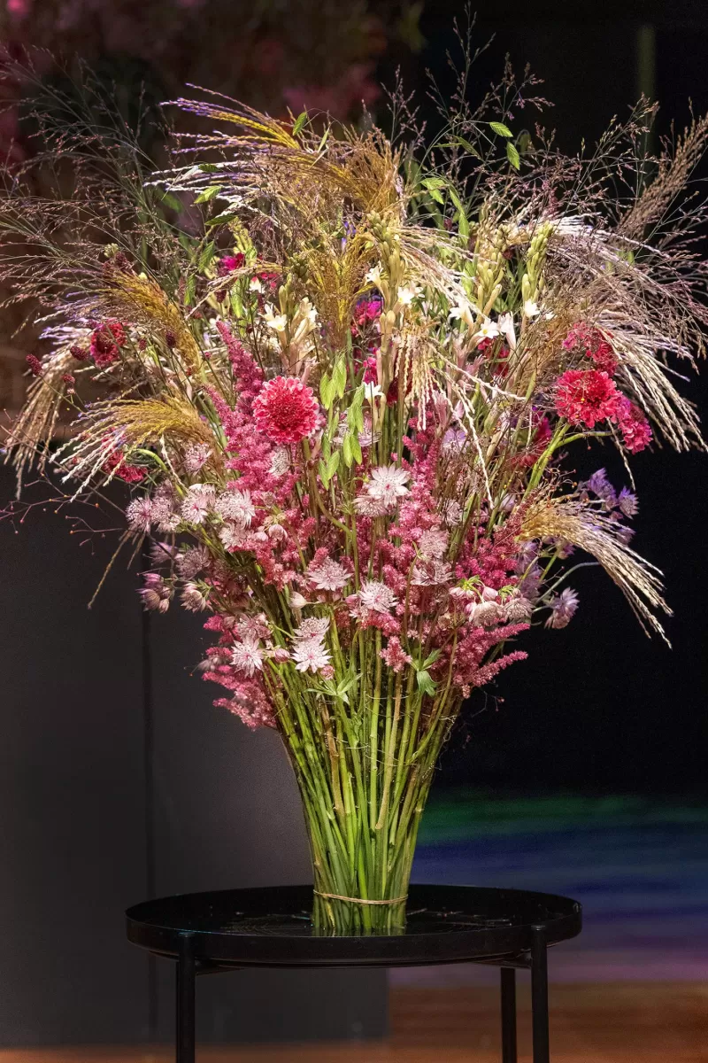 Projekt Mike'a Boermy