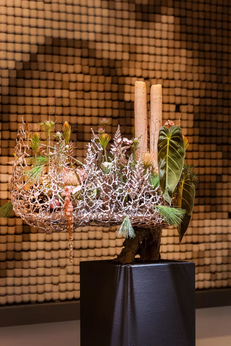 zwycięzca flowercup  Mike Boerma