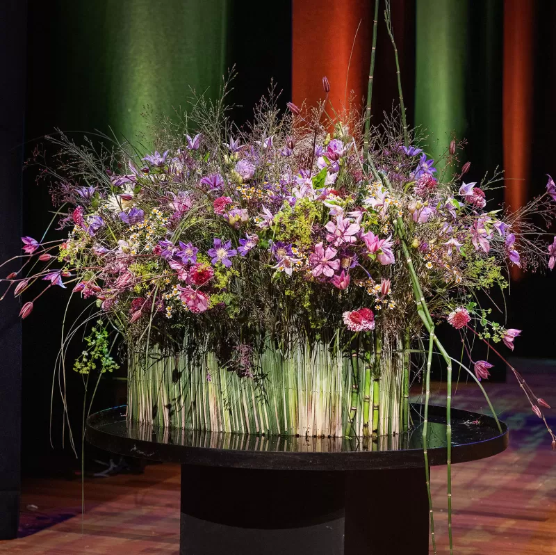 projekt Frederic dupre