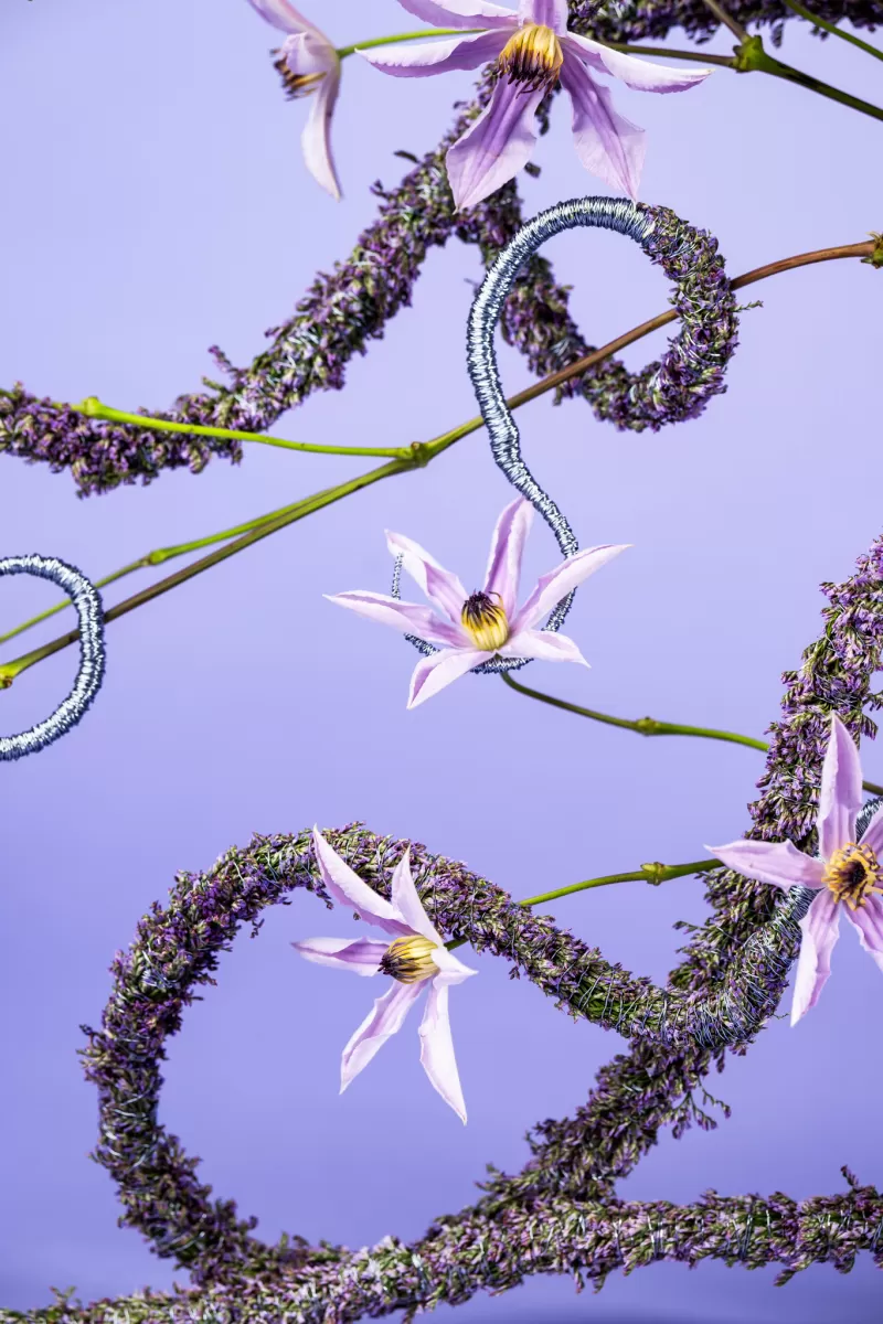 Hanneke Frankema design floral trends Limonium and Clematis
