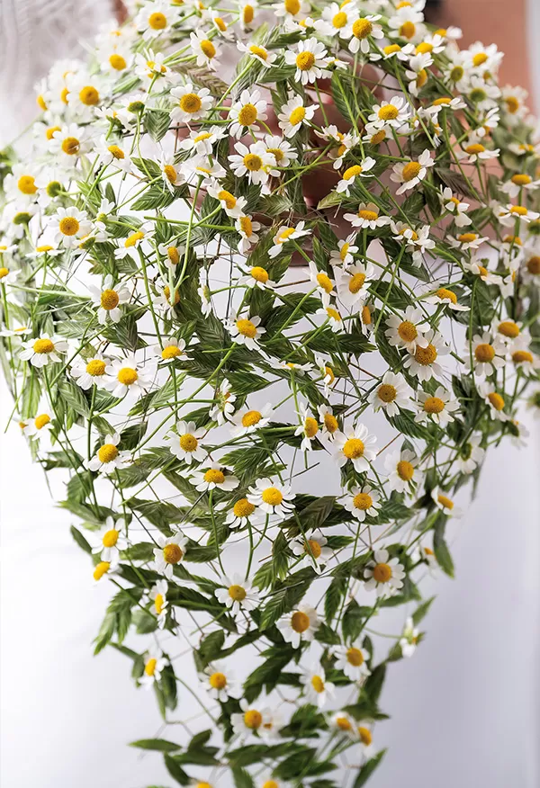 Bouquet - Tanacetum - Max van de Sluis