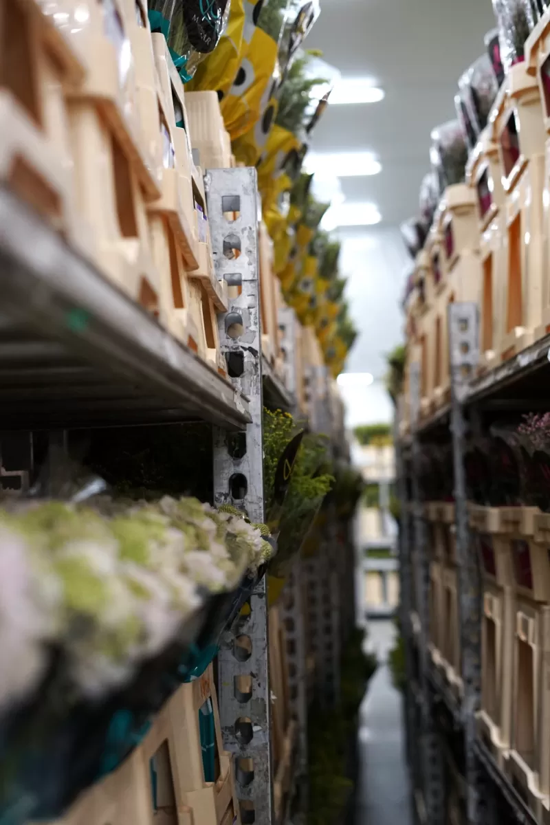 Marginpar bloemen klaar voor de veiling