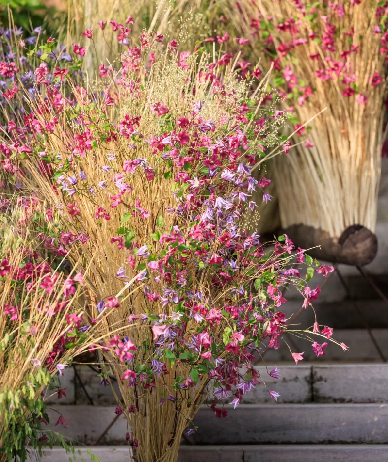 Floral design by Dmitry Turcan with Clematis Amazing flowers