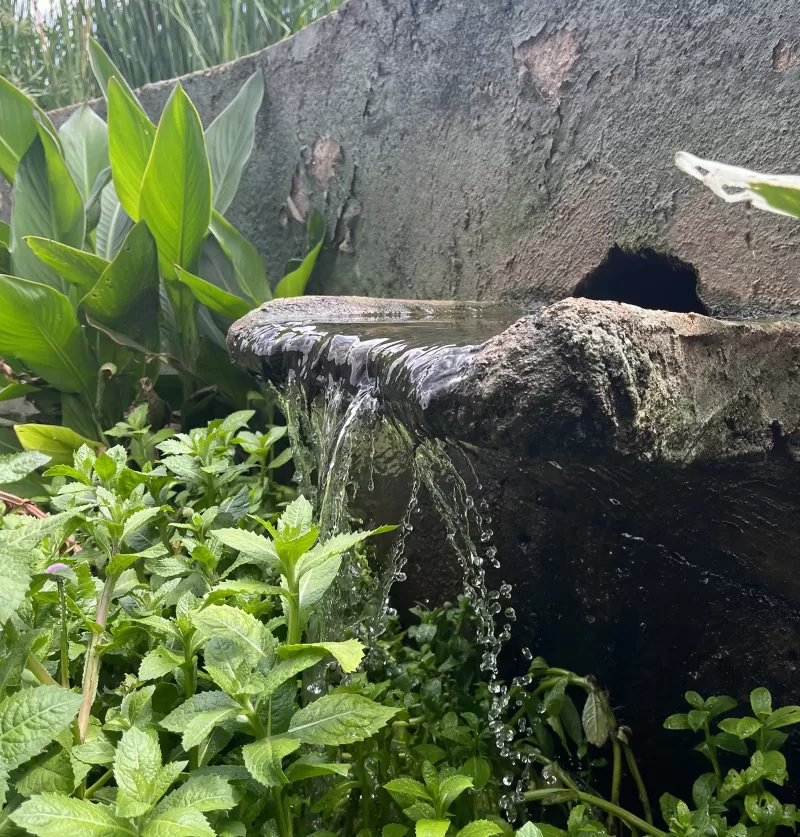 Water