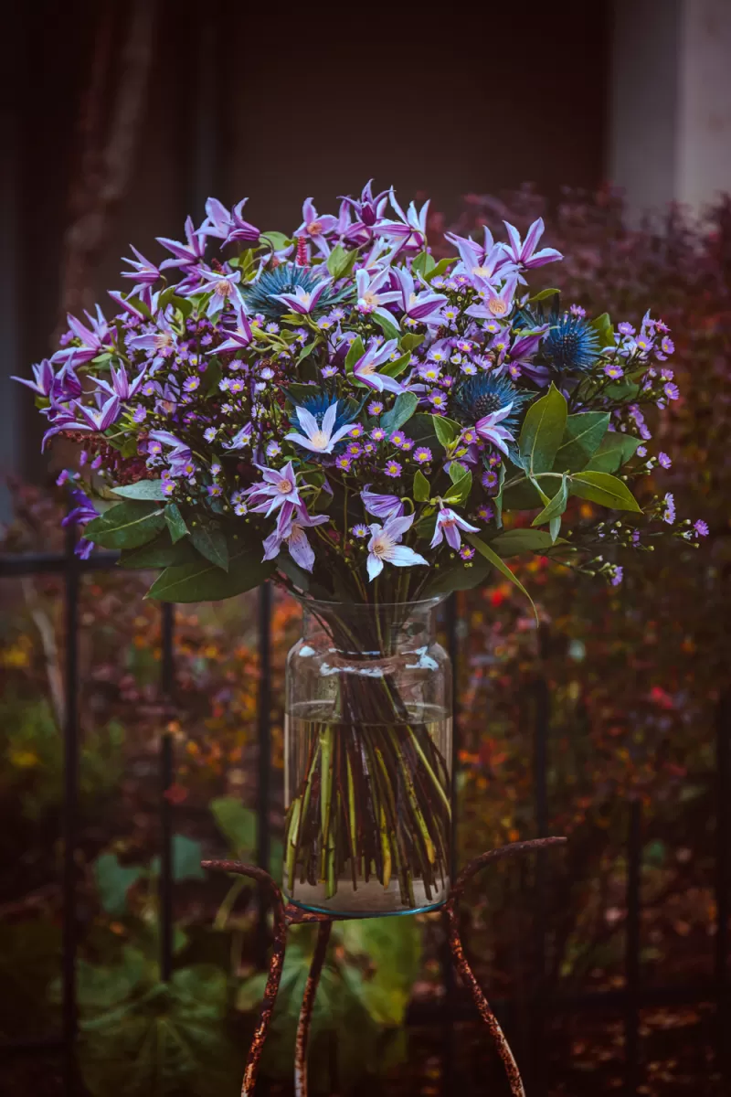 Bouquet - Clematis Amazing® Star River