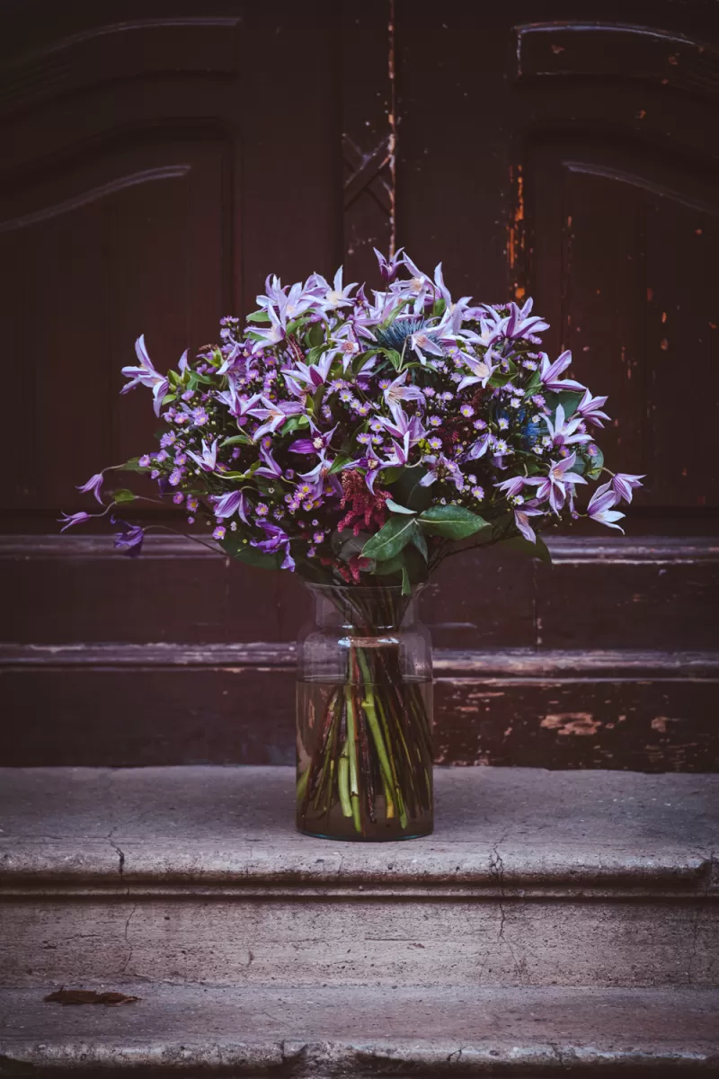 Bouquet - Clematis Amazing® Star River