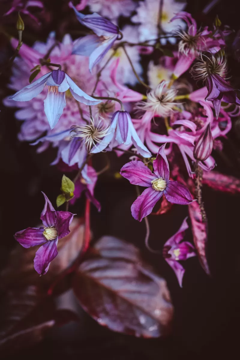 Bouquet - Amazing® Kyiv