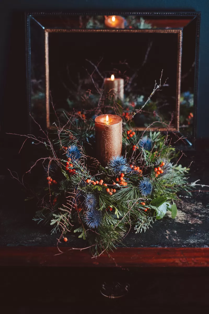 Christmas wreath - Eryngium Magnetar Questar®