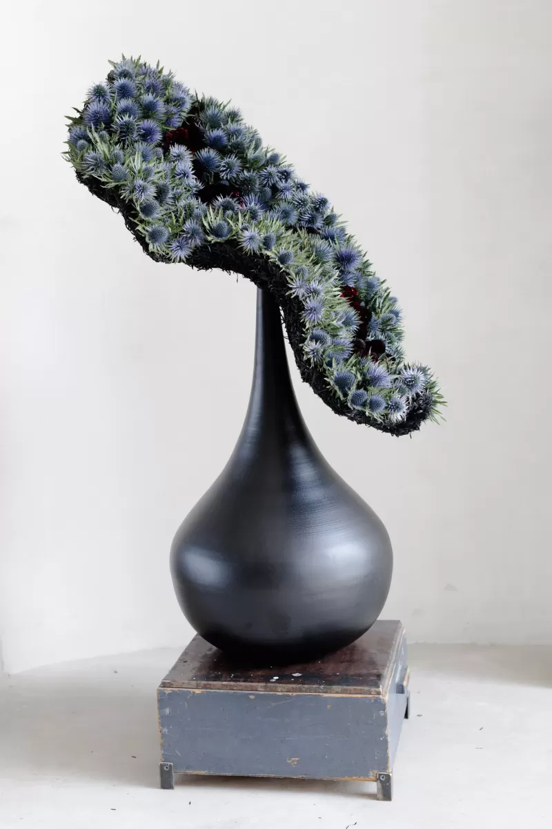Krisztián Kövér - Eryngium in design