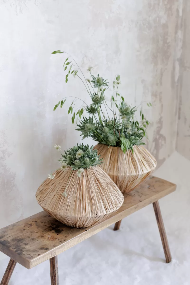 Krisztián Kövér - Eryngium in design