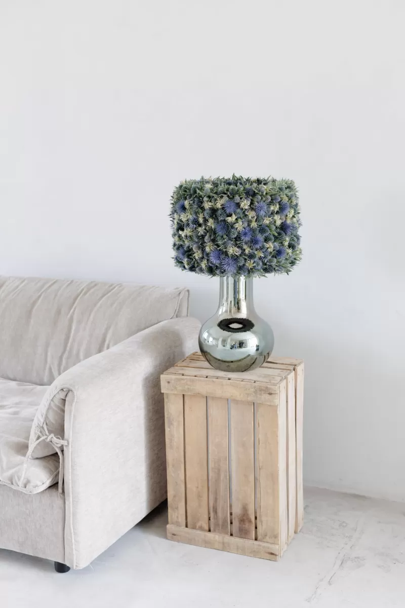 Krisztián Kövér - Eryngium in design