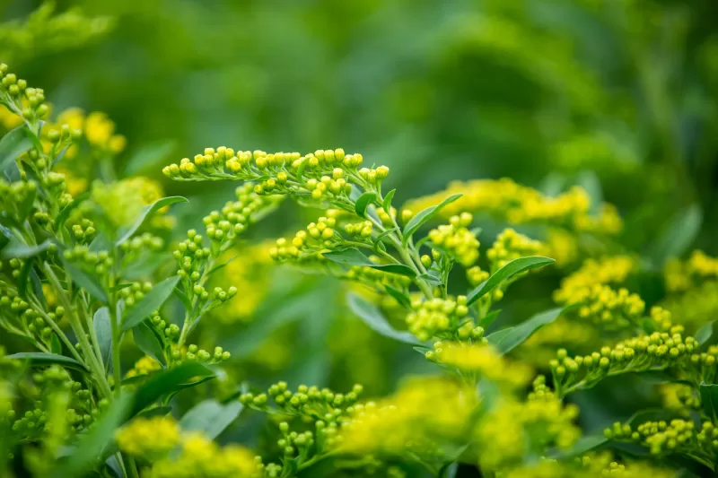 Frequently asked questions - sustainability