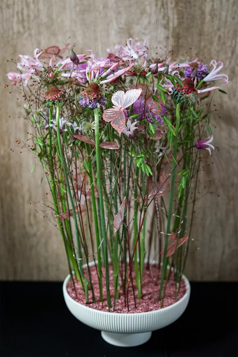 Hanneke Frankema - Композиция «Бабочка»