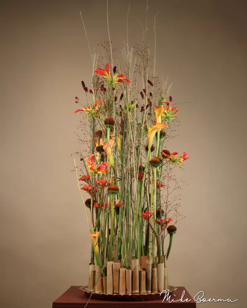 Mike Boerma - 100 percent organic design