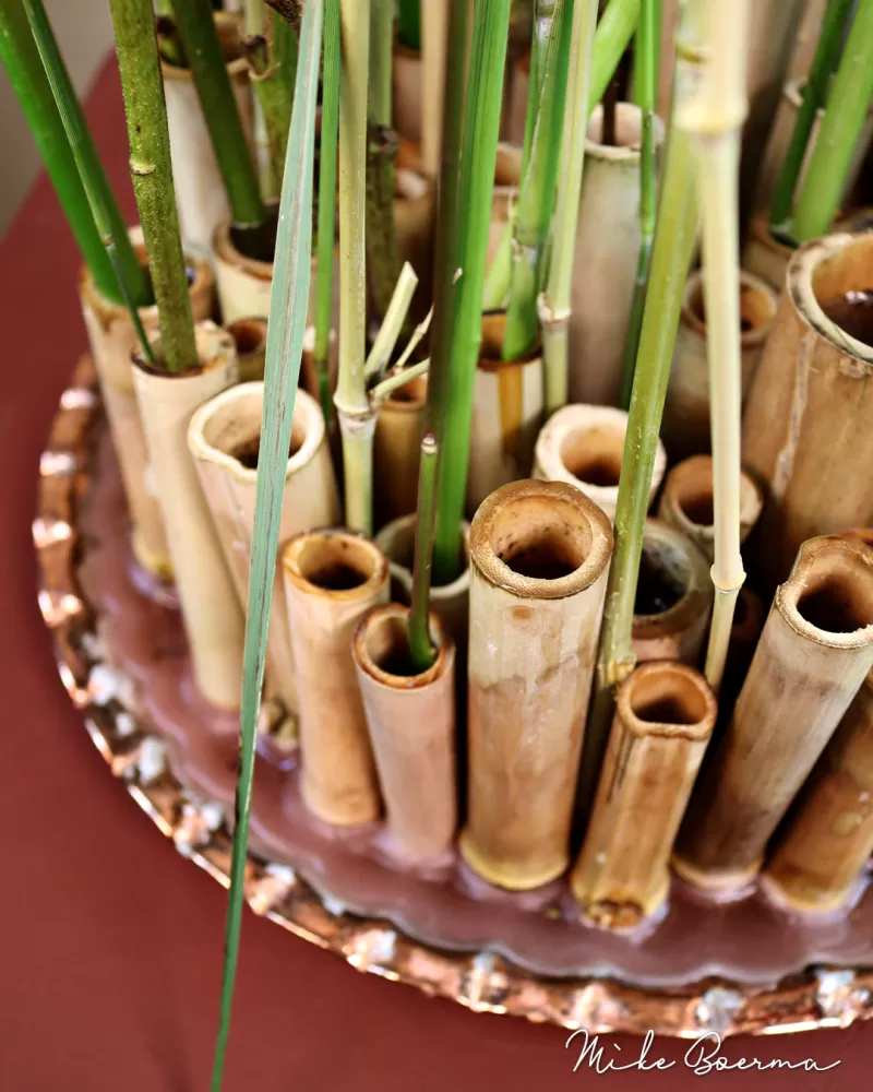 Mike Boerma - 100 percent organic design