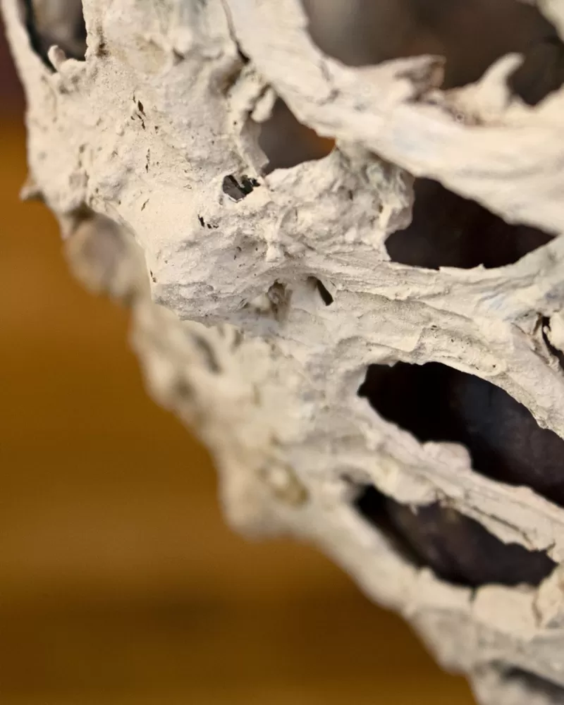 Mike Boerma - Clay Creation design