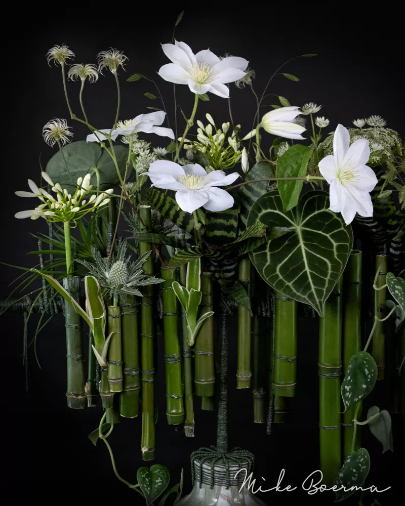 Mike Boerma - Elevated Elegance design